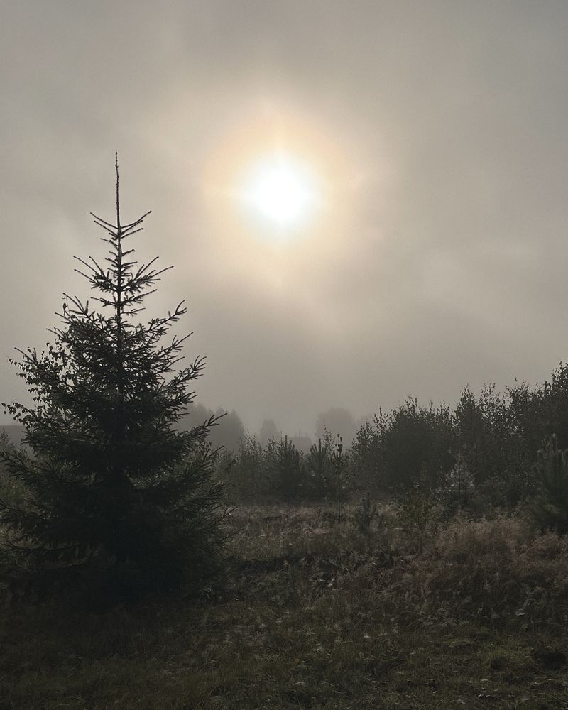 Photograph by Татьяна Ремизова