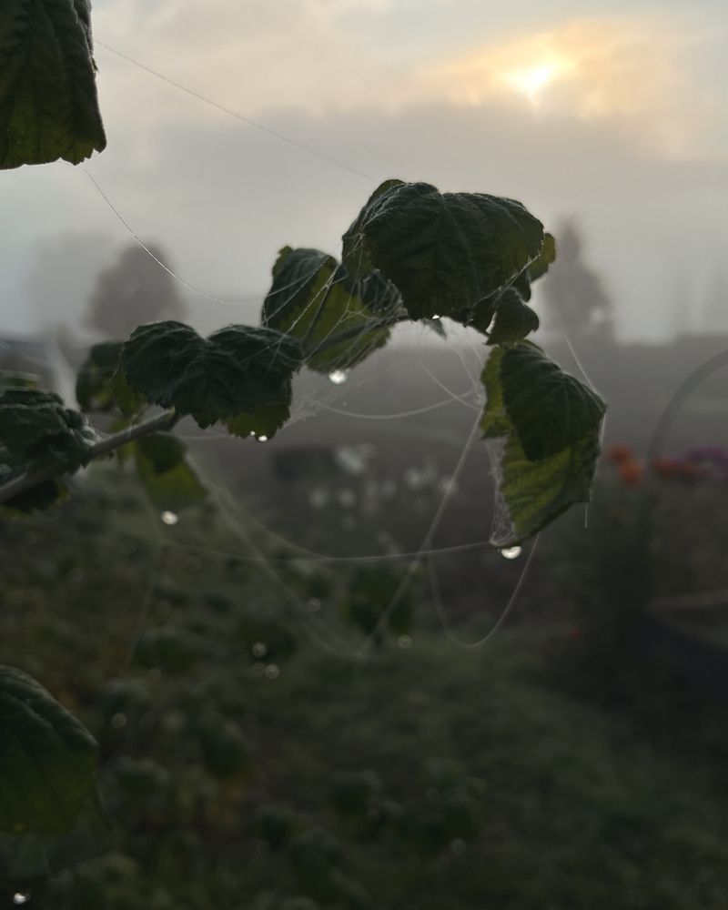 Photograph by Татьяна Ремизова