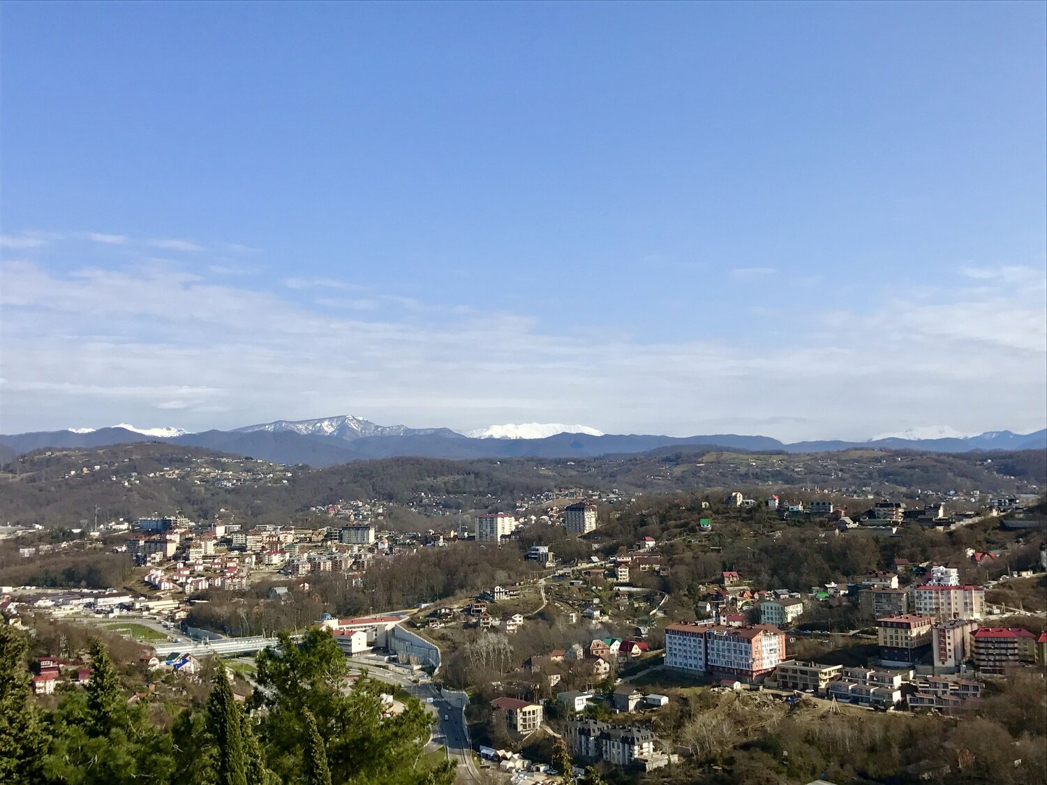 Photo #12126431