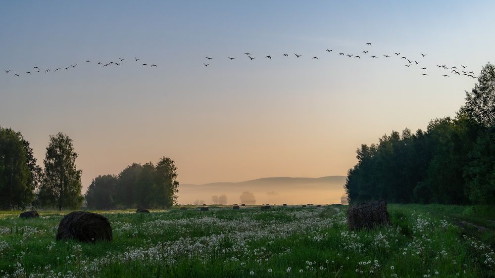 Photograph by Дубровская Катерина