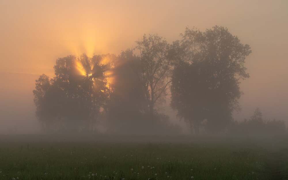 Photograph by Дубровская Катерина