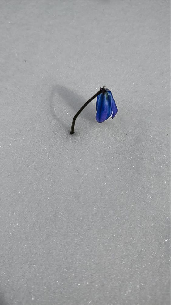 Фотография автора Дмитрий Коноплев