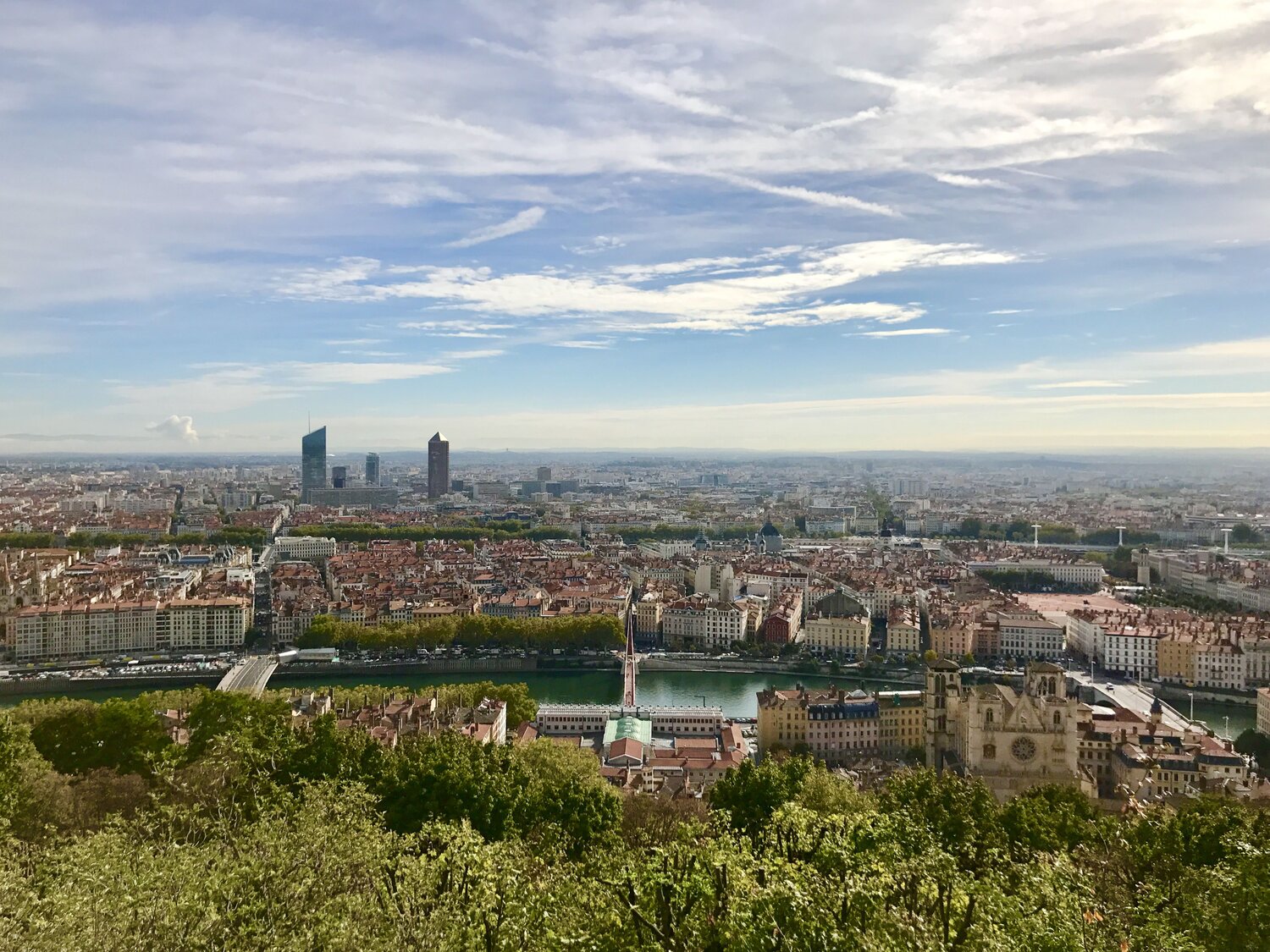 Photo #12126569