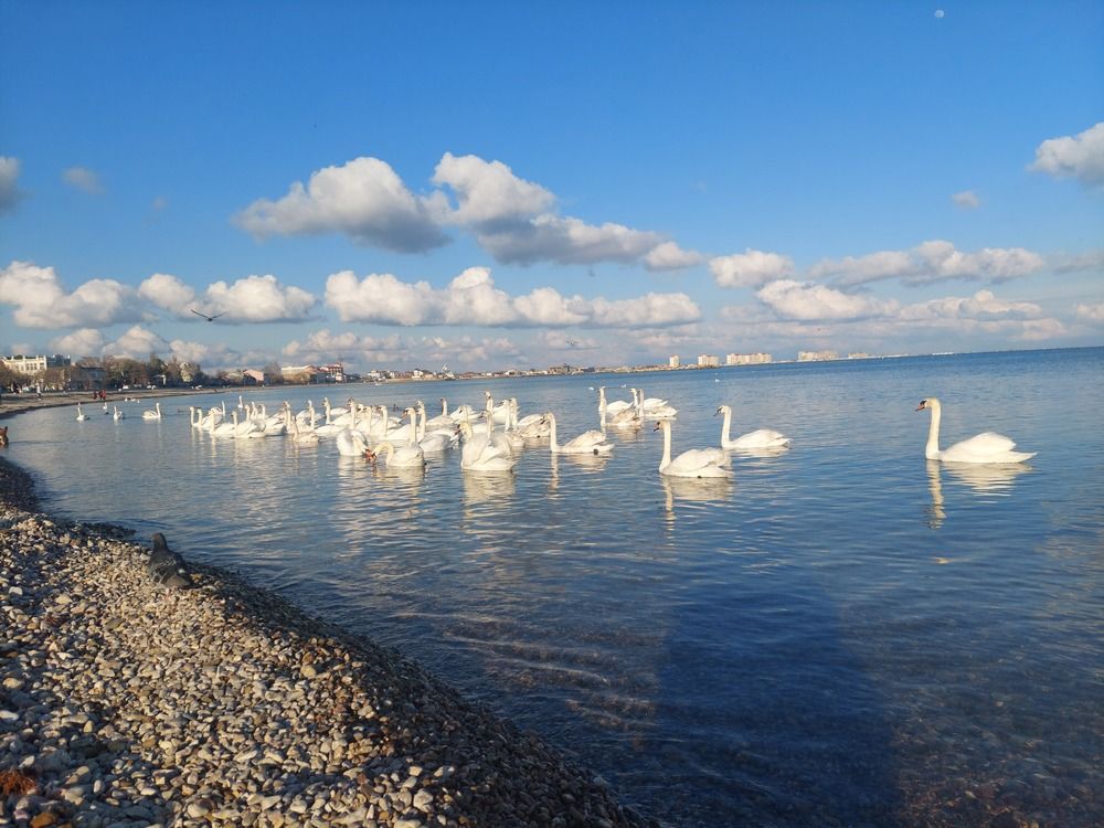 Фотография автора Анатолий Дячина