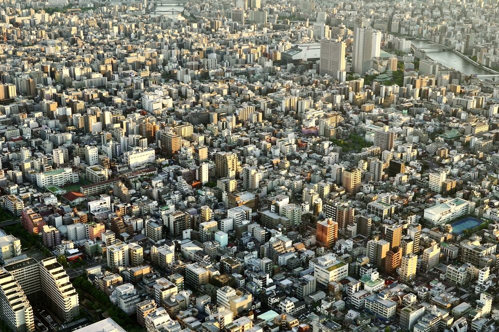 Фотография автора Liudmila Kiermeier