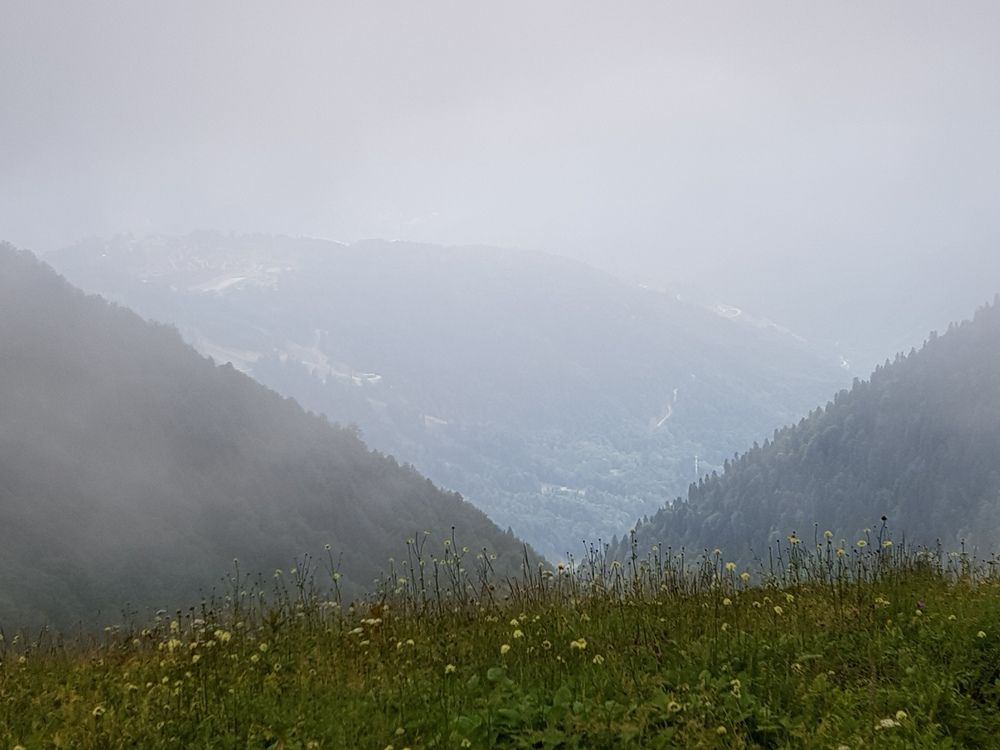 Photograph by Elena Ovsannikova