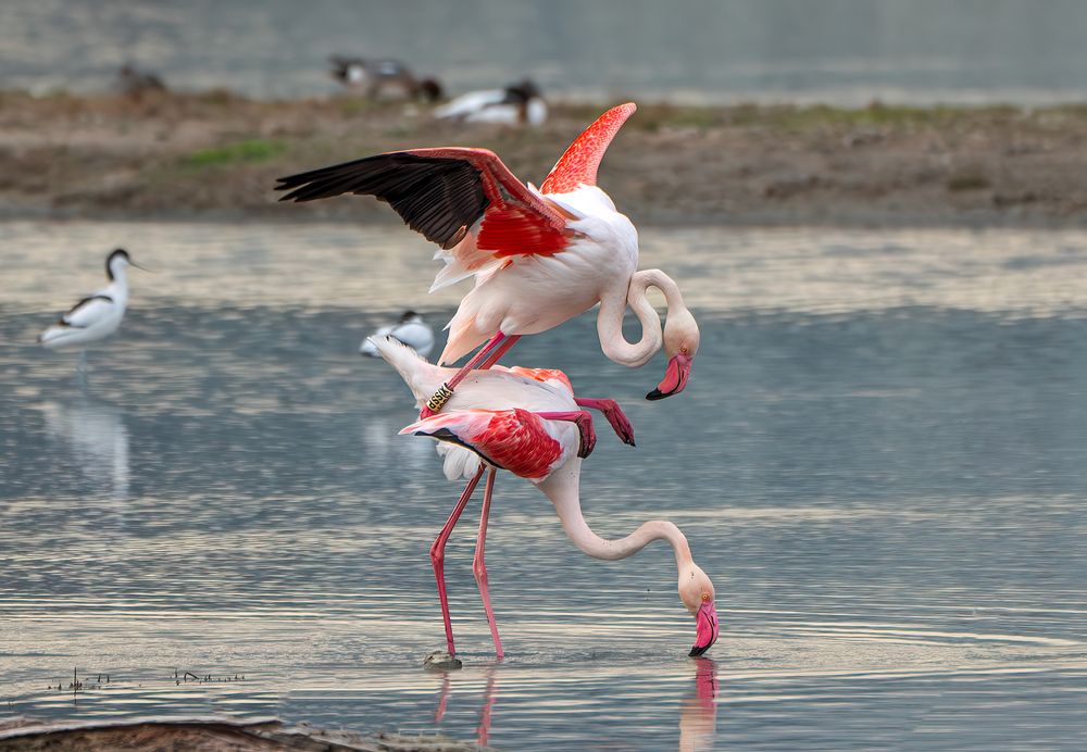 Photograph by Makarov Viktor