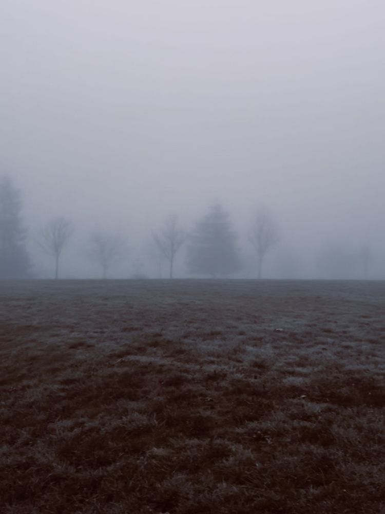 Фотография автора Diana