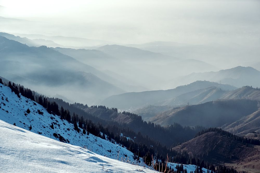 Photograph by Алексей Баженов