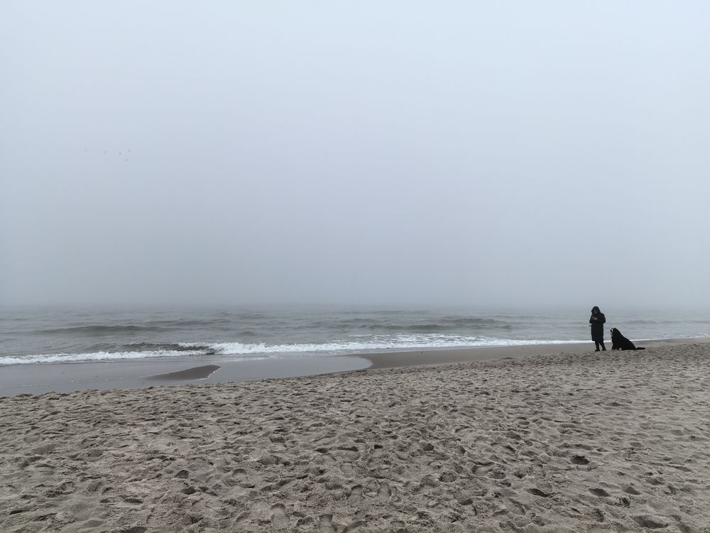 Photograph by Полина Белокопытова