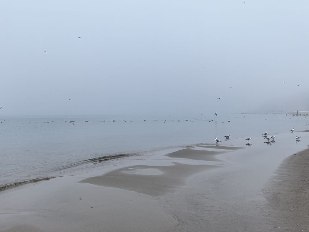 Photograph by Полина Белокопытова