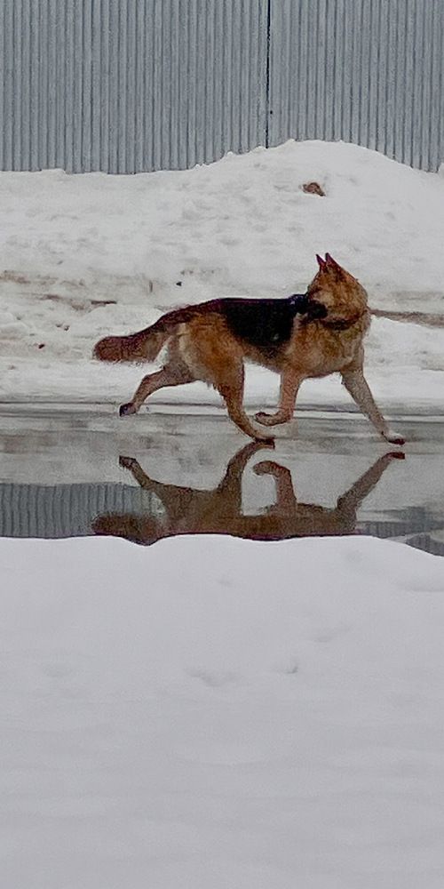 Photograph by Мария Карпычева