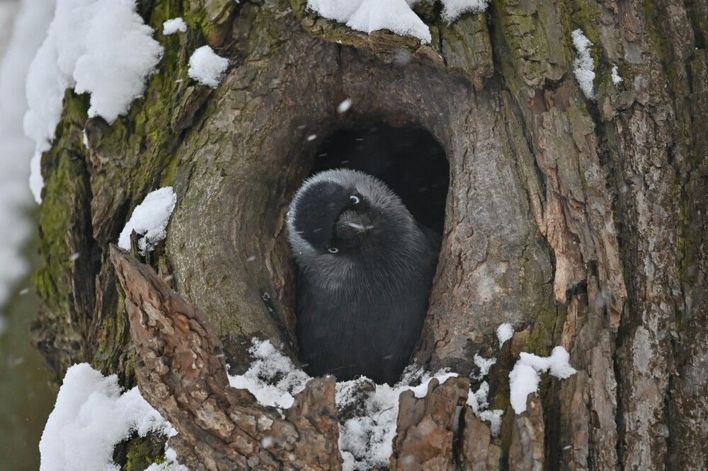 Photograph by IRINA FILIPPOVA