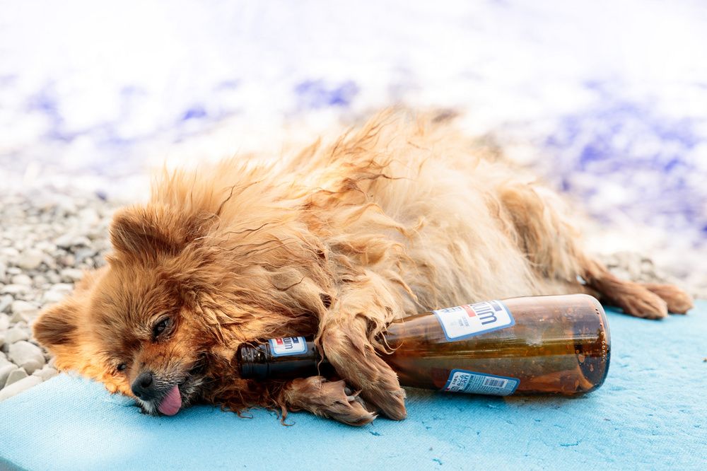 Фотография автора Александр Леонтьев