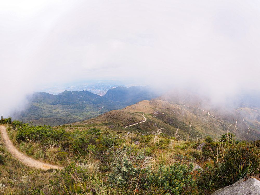 Фотография автора Camilo Rojas