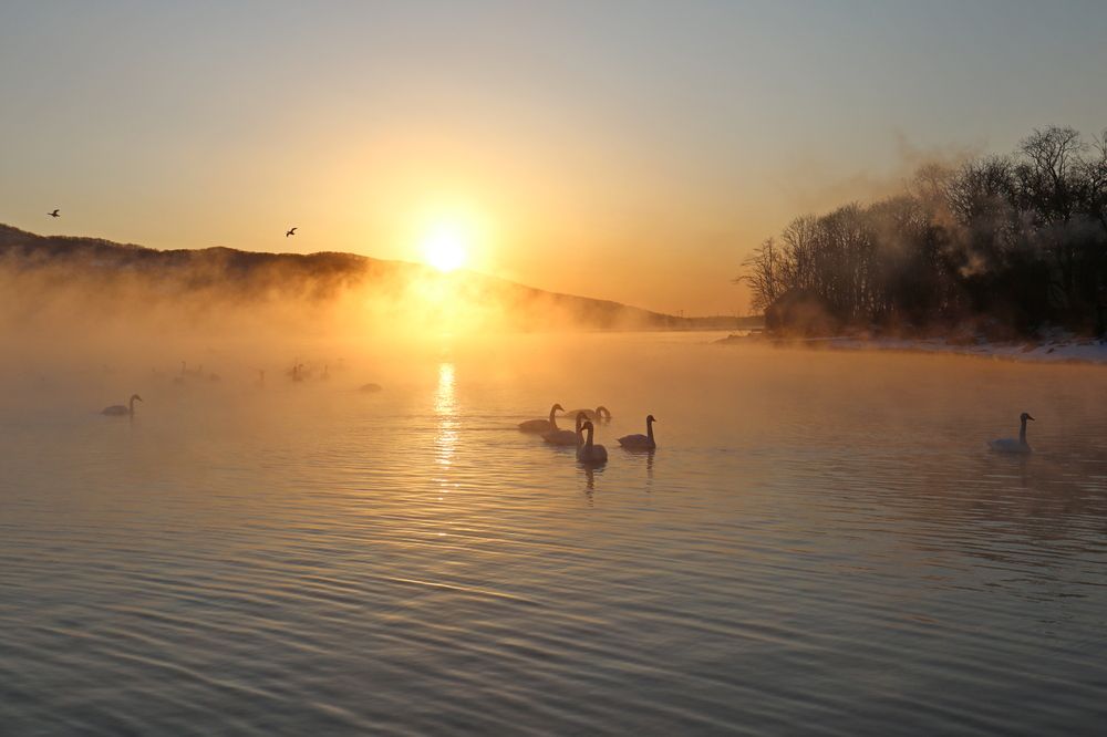 Photograph by Наталья Турчик