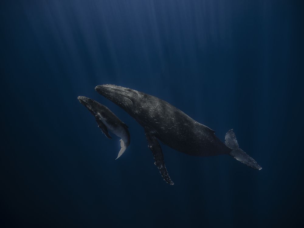 Photograph by ANTON Julien