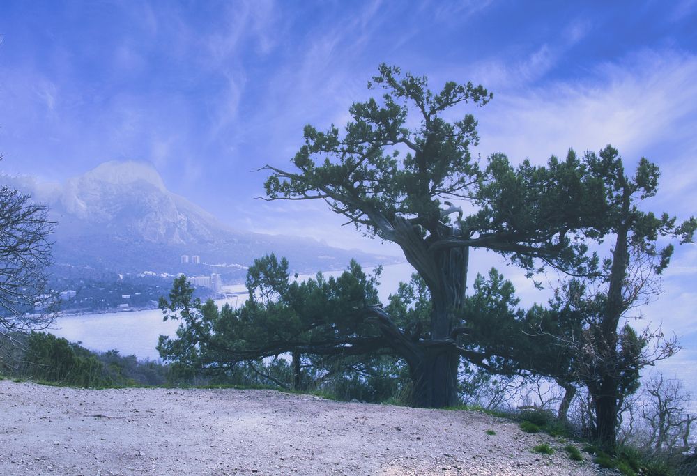 Краски вечера