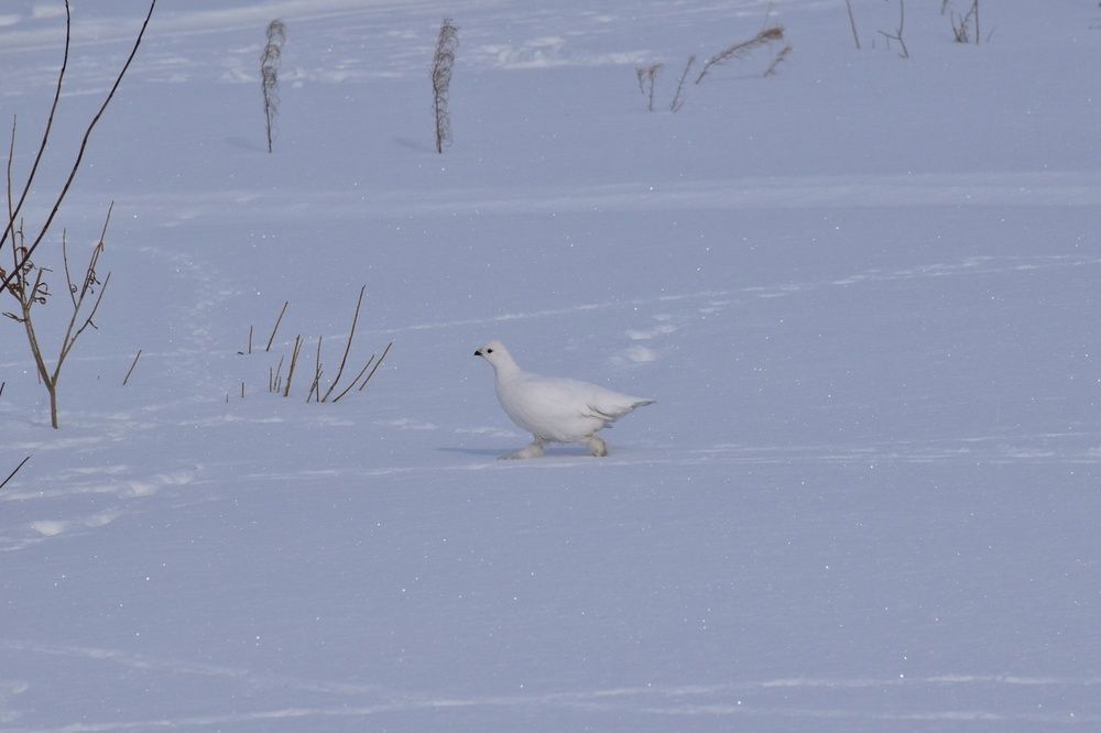 Photograph by Нина Кольман