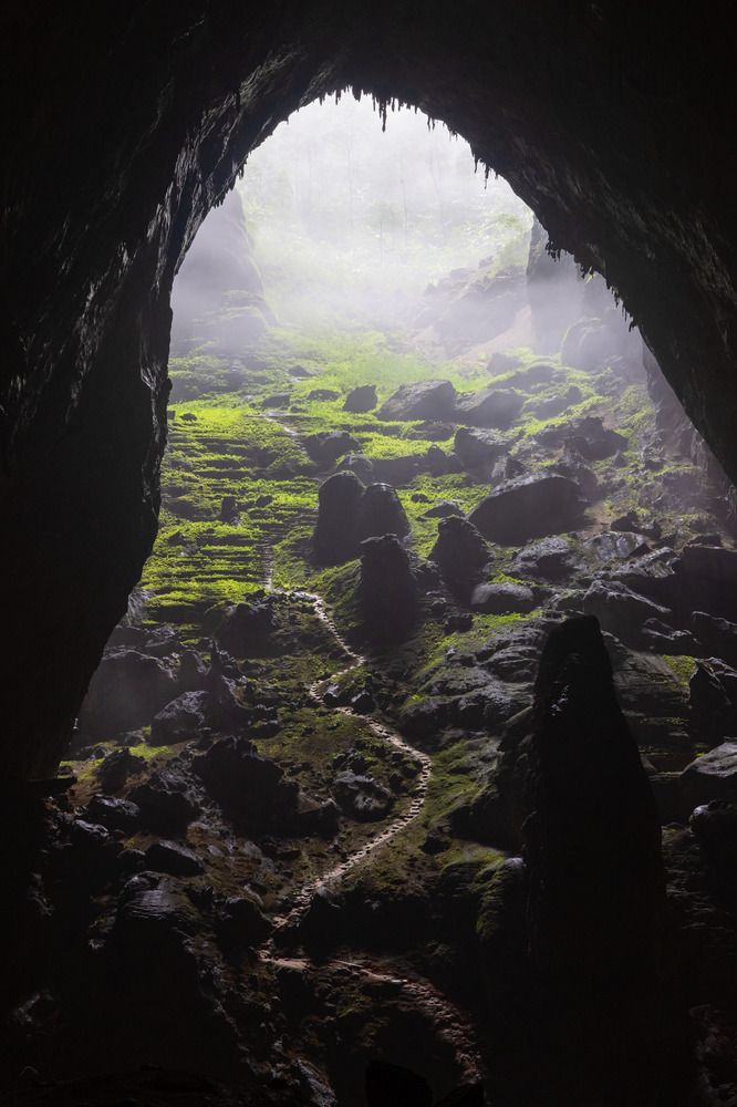 Garden of Eden in Son Doong Cave Vietnam