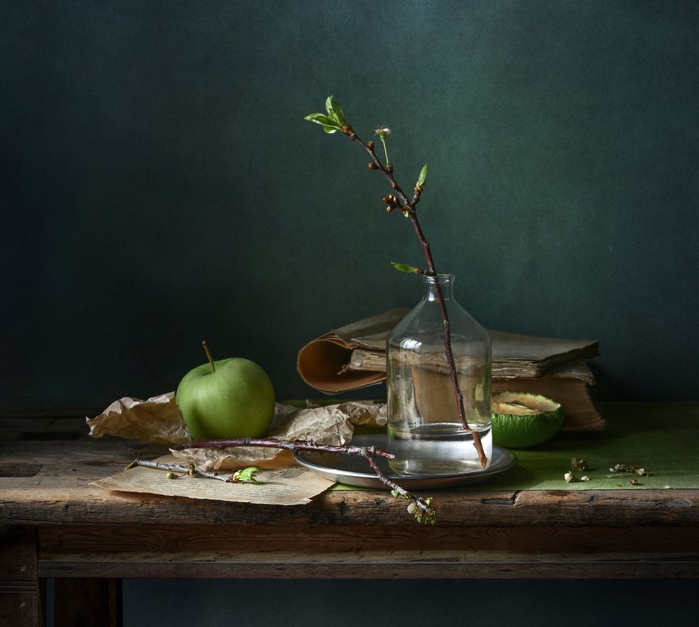 Photograph by Елена Виноградова