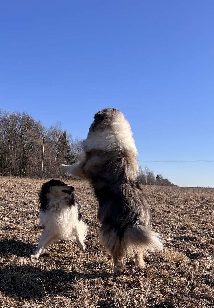 Удачный момент в порыве игры