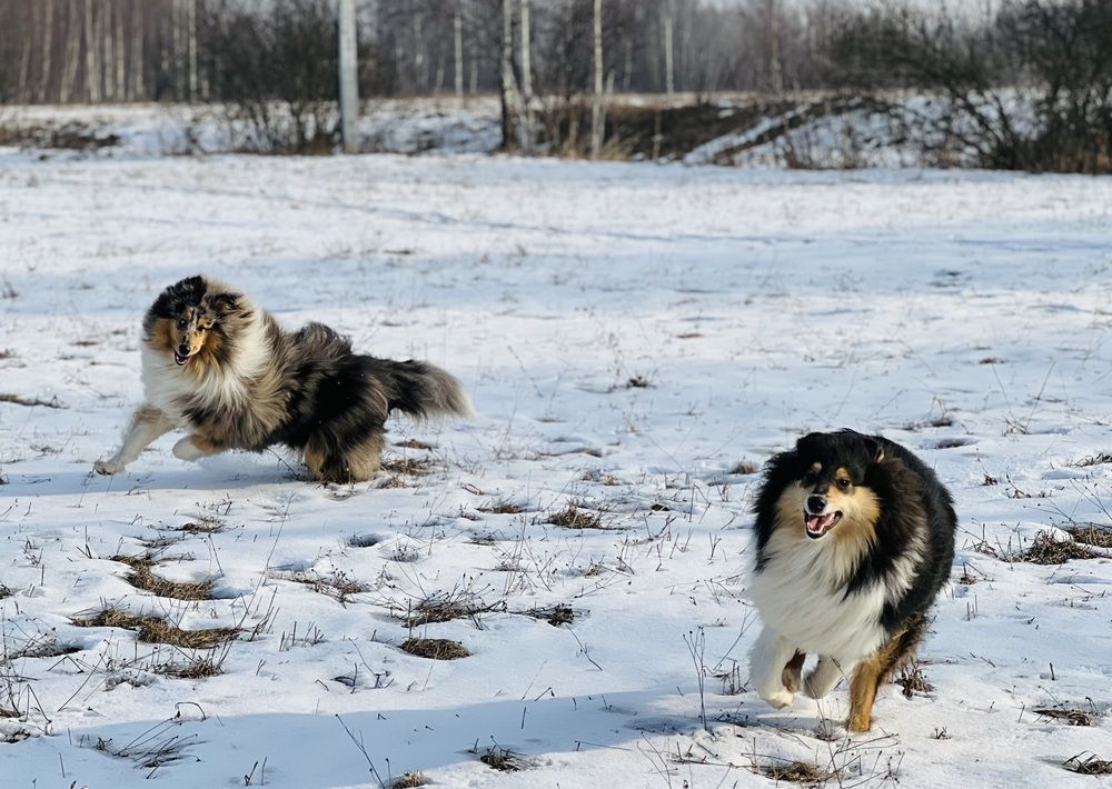 Утренний фитнесс