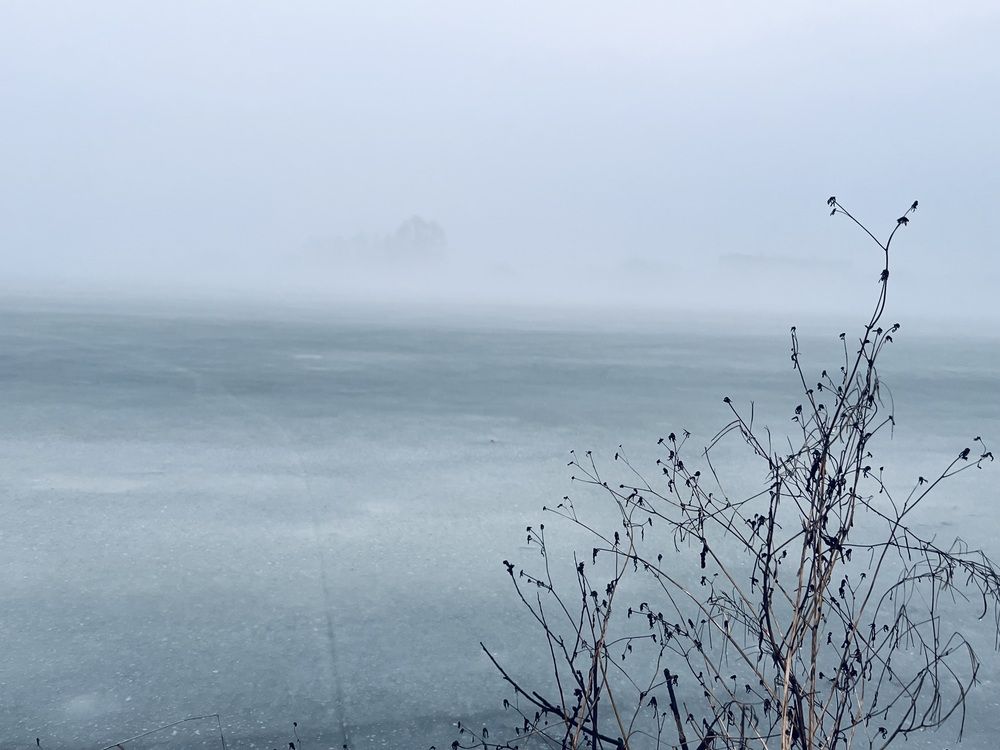 Photograph by Kira Ko