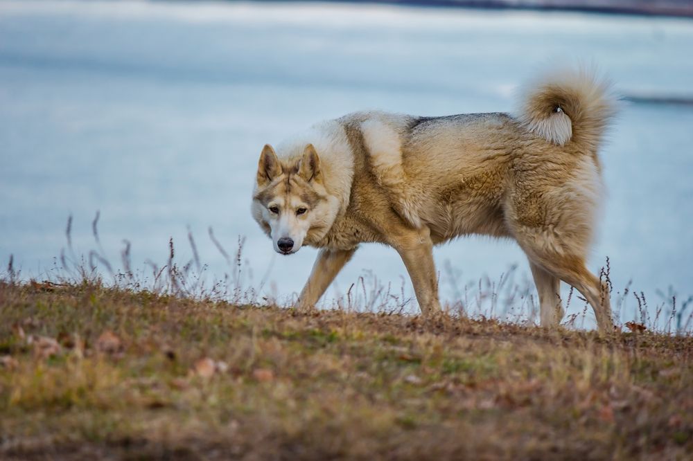 Photograph by Антонов Александр