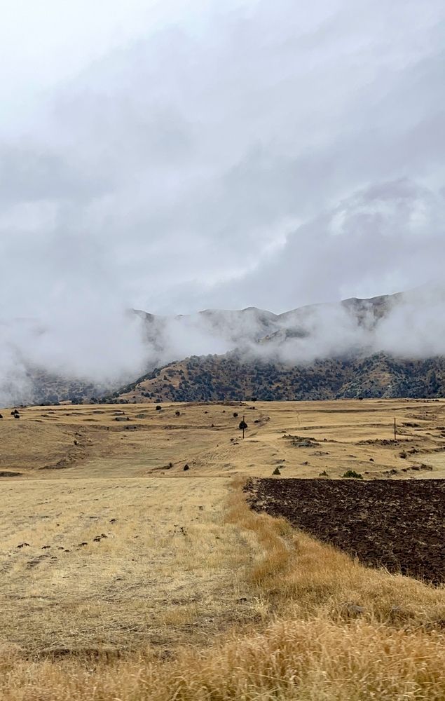 Photograph by Elena Edeleva