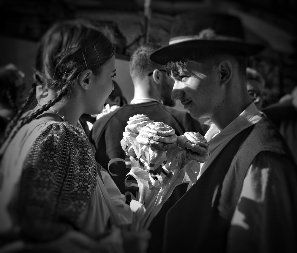 Фотография автора Vincenzo Tedesco