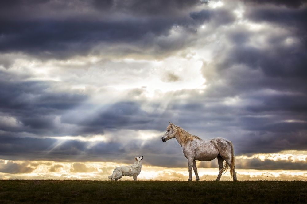 Photograph by Denisa Zbranková Albaniová