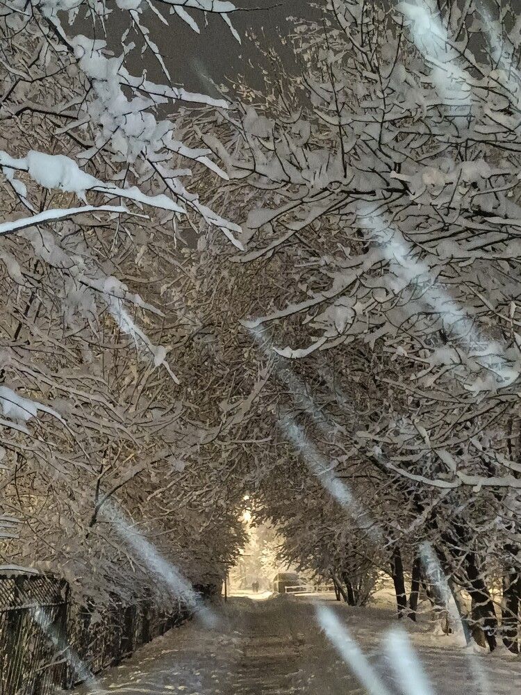 Photo #12128108