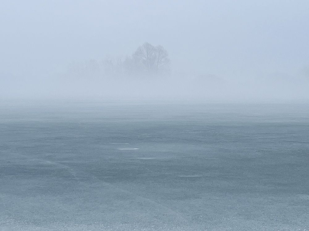 Photograph by Kira Ko