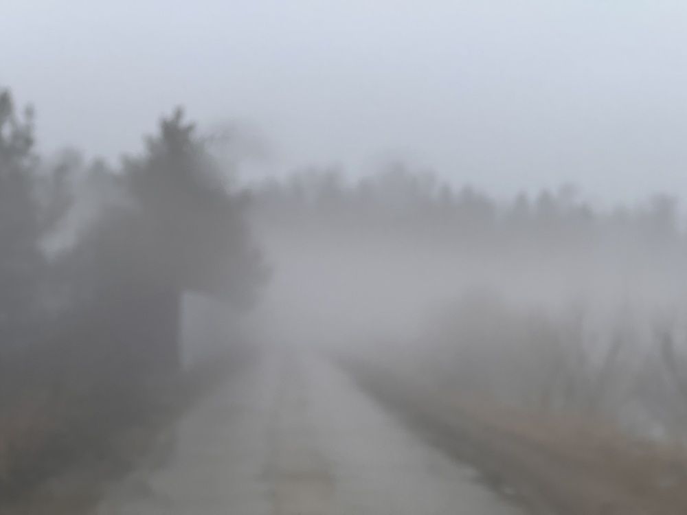 Photograph by Kira Ko