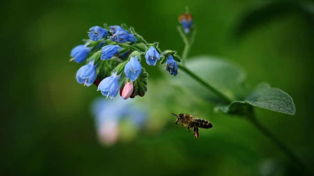 Photograph by Андрей Литов