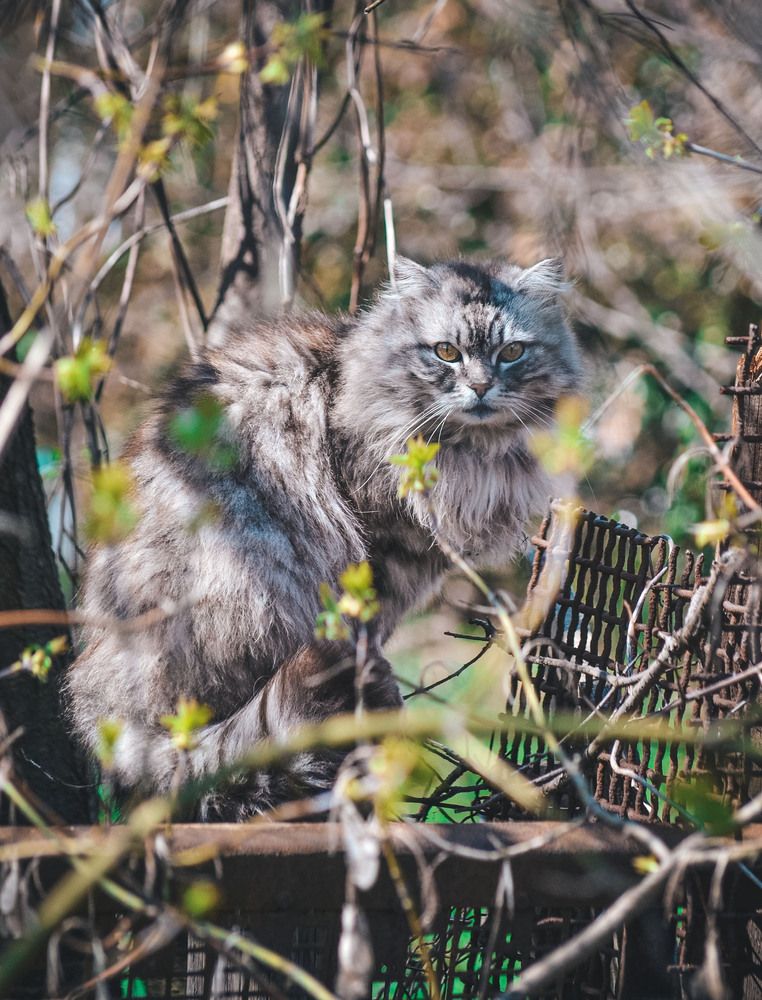 Photograph by Катерина Сорокина