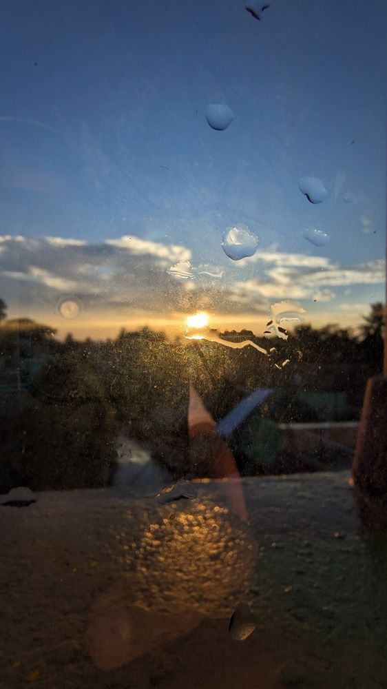 Photo #12128187
