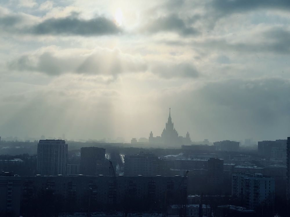 Photograph by Kira Ko