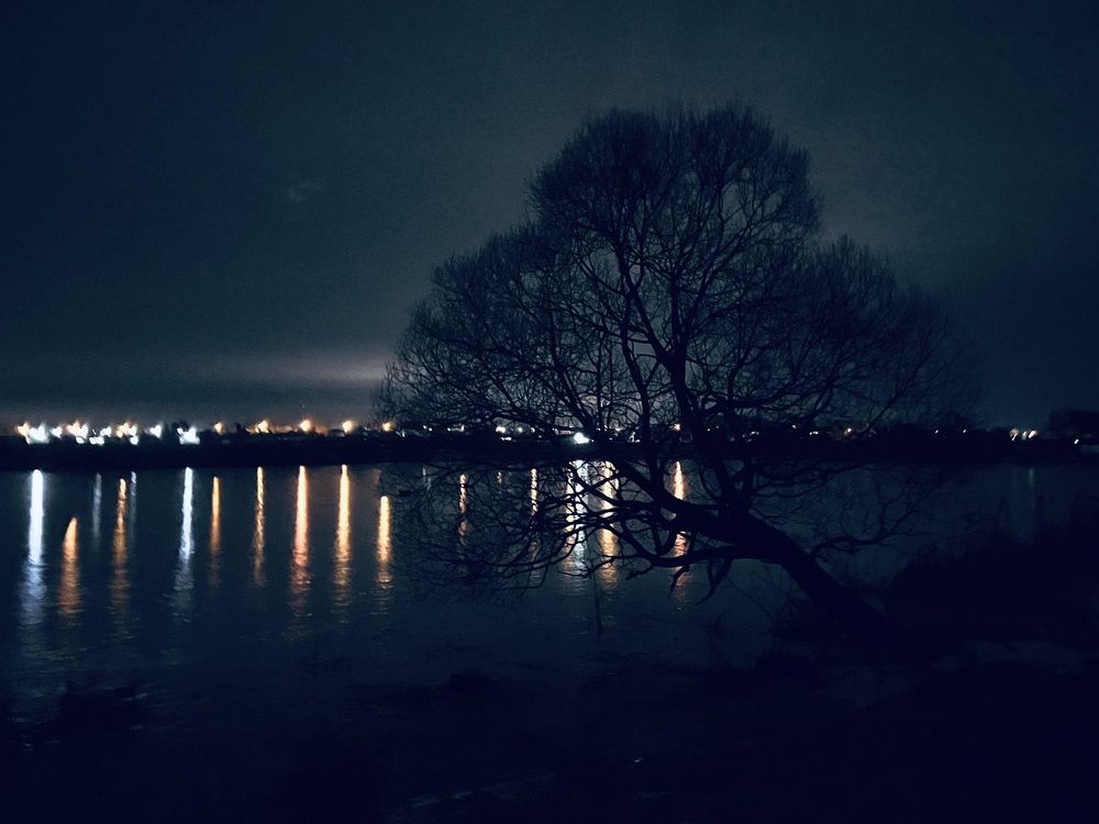 Photograph by Kira Ko