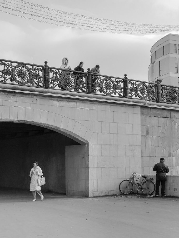 Photo #12128434