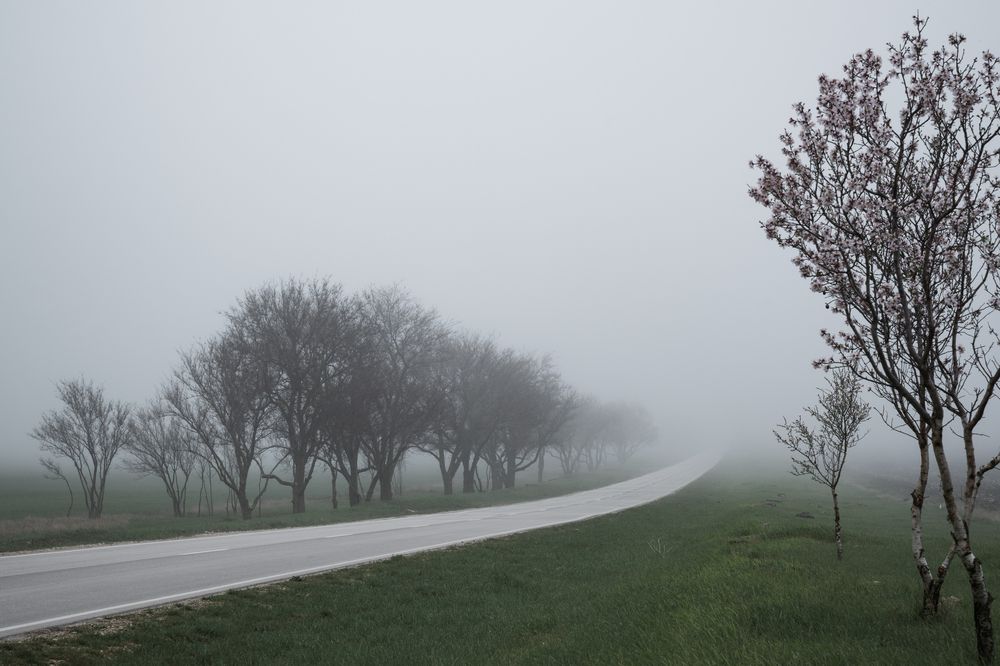 Photograph by Геннадий Кравченко