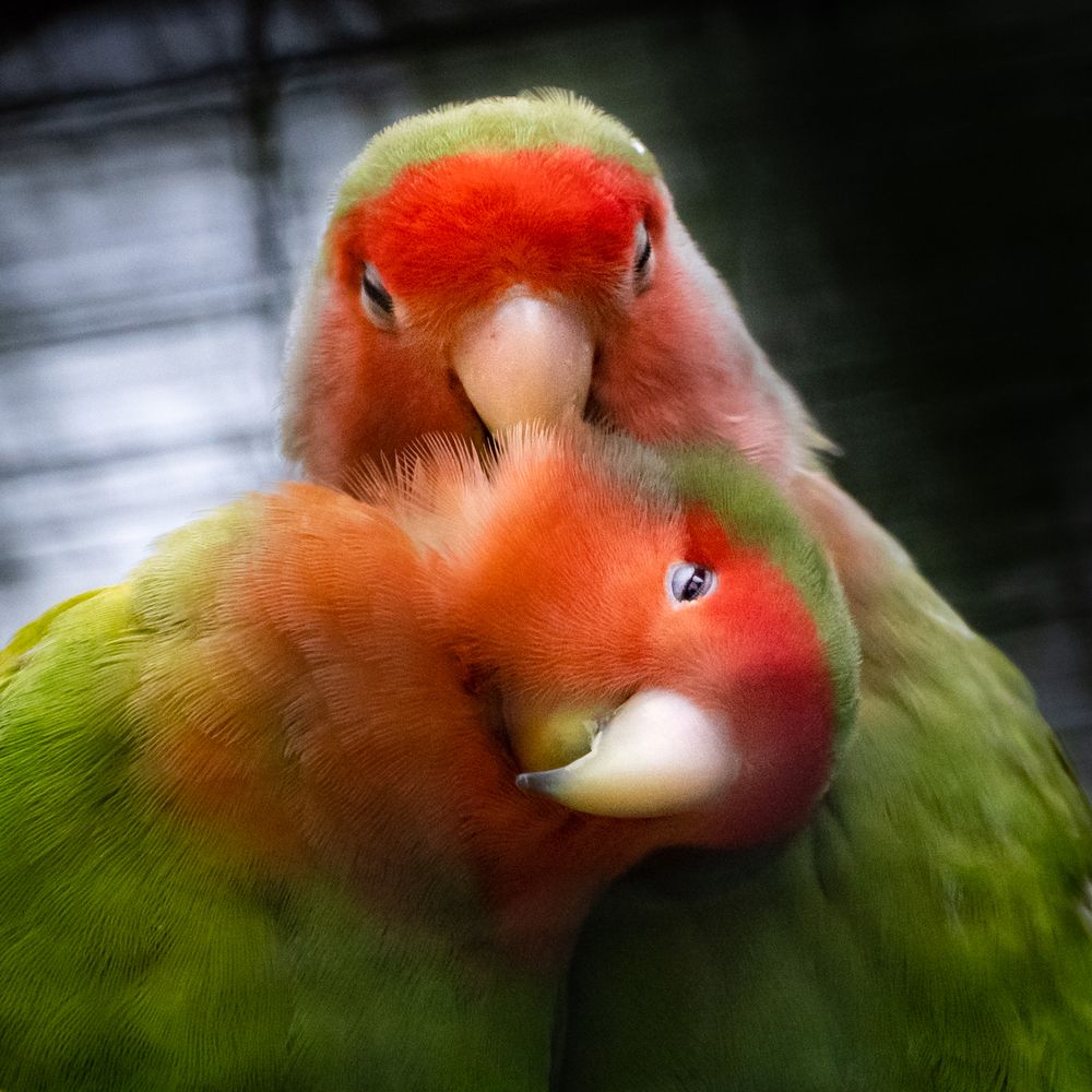 Photograph by Анна Стрелковская