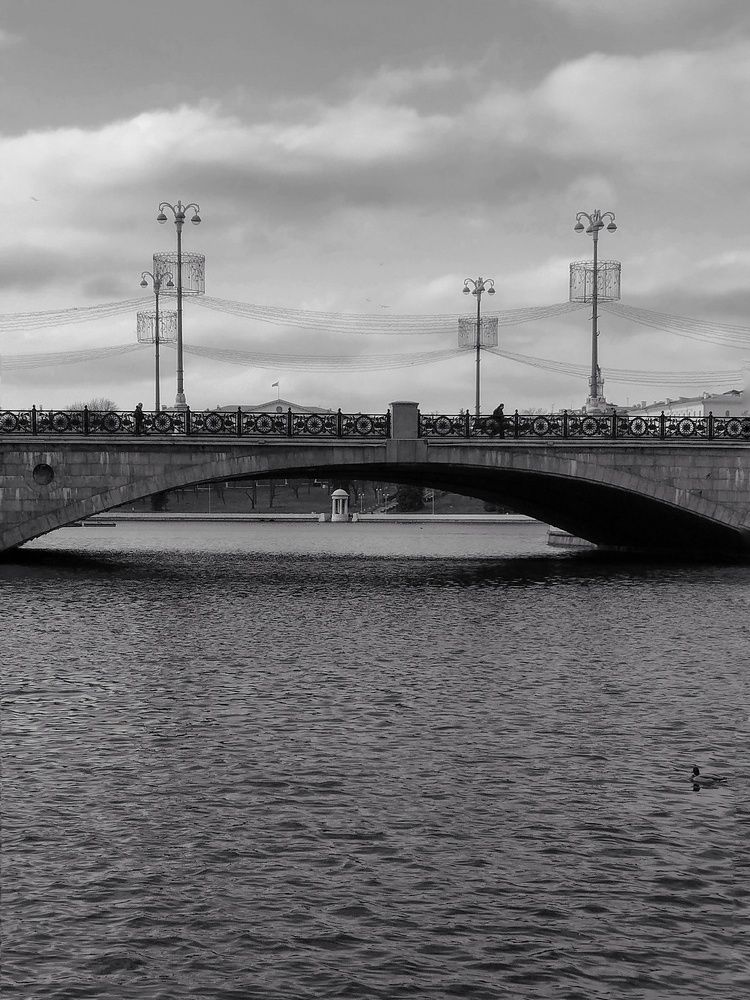 Photo #12128829