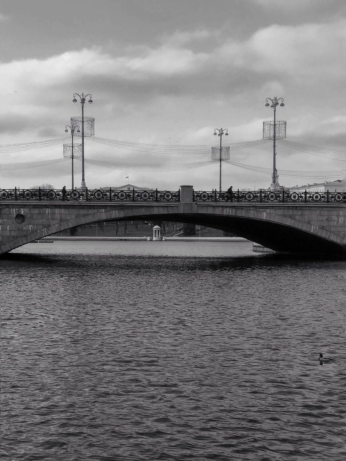 Photo #12128829