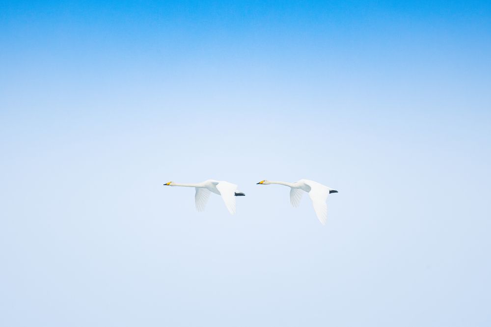 Photograph by Valentin Kolinko