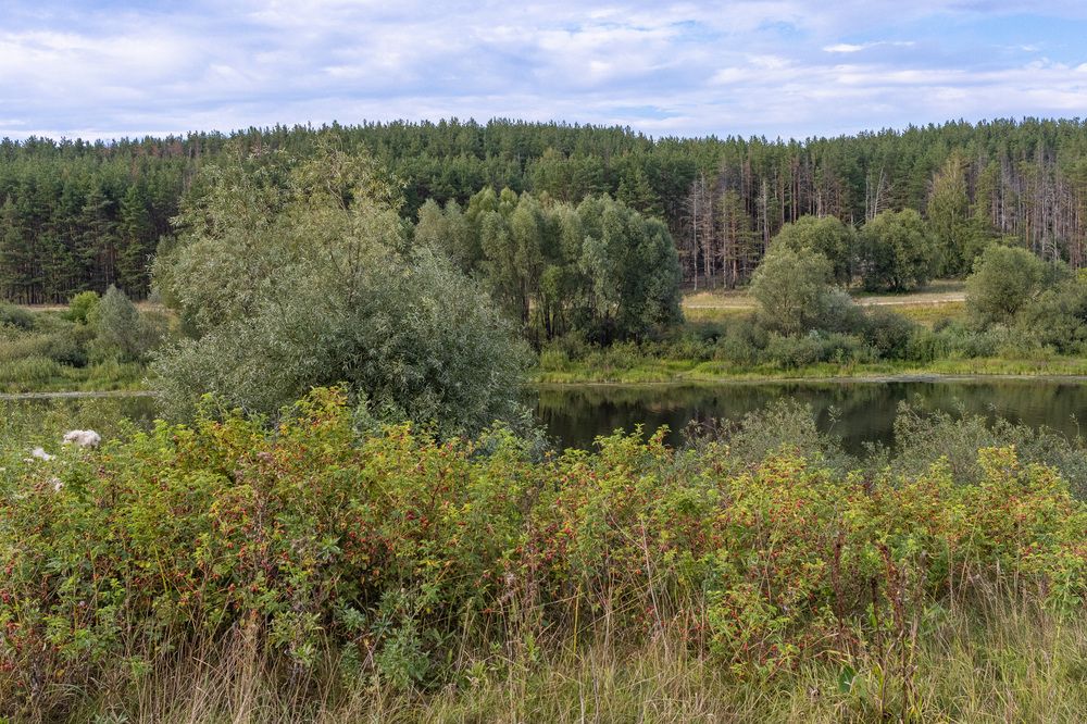 Photograph by Сергей Щербаков