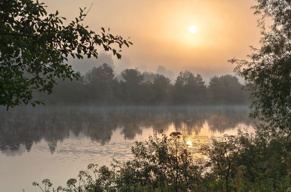 Photograph by Светлана Ващенко