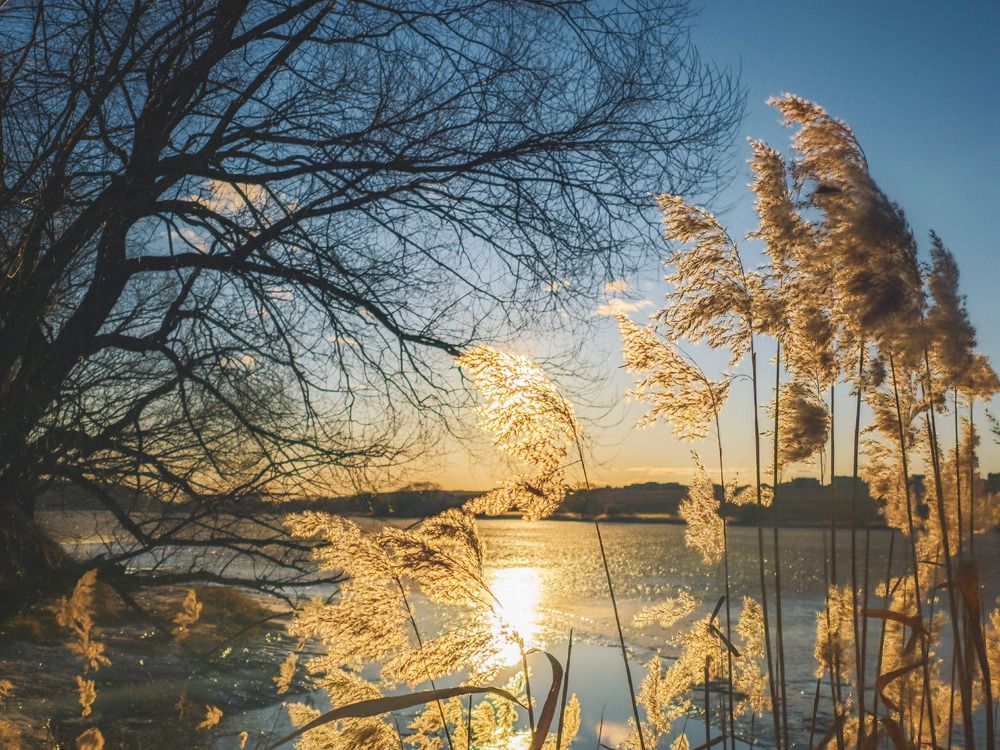 Photograph by Кирилл Сидоров
