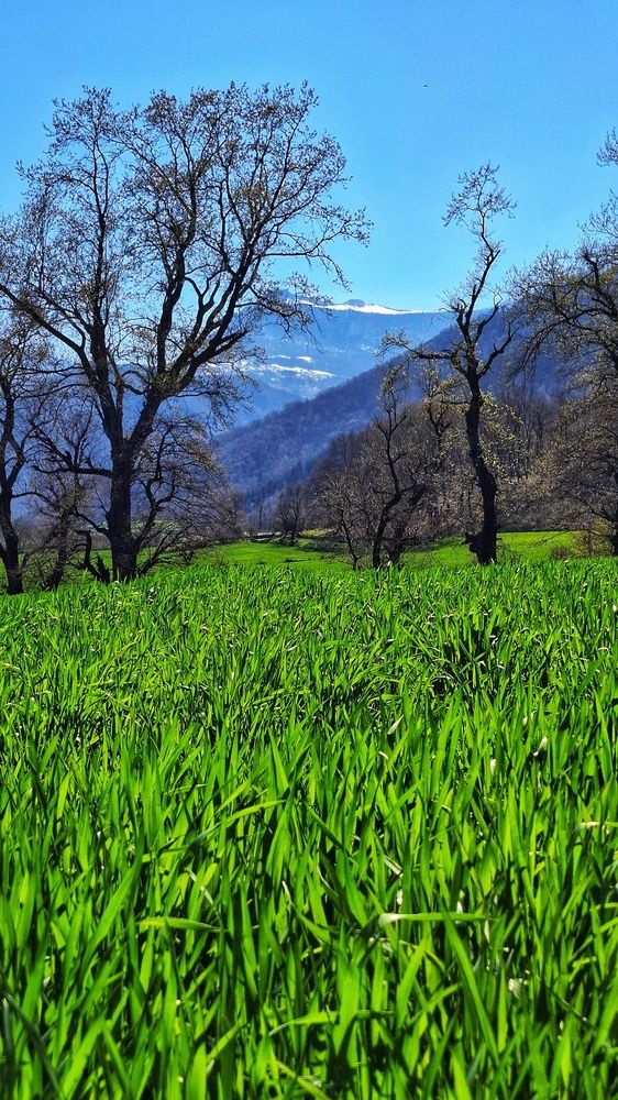 نَفَسِ دوباره‌ی زمین Earth’s Second Breath